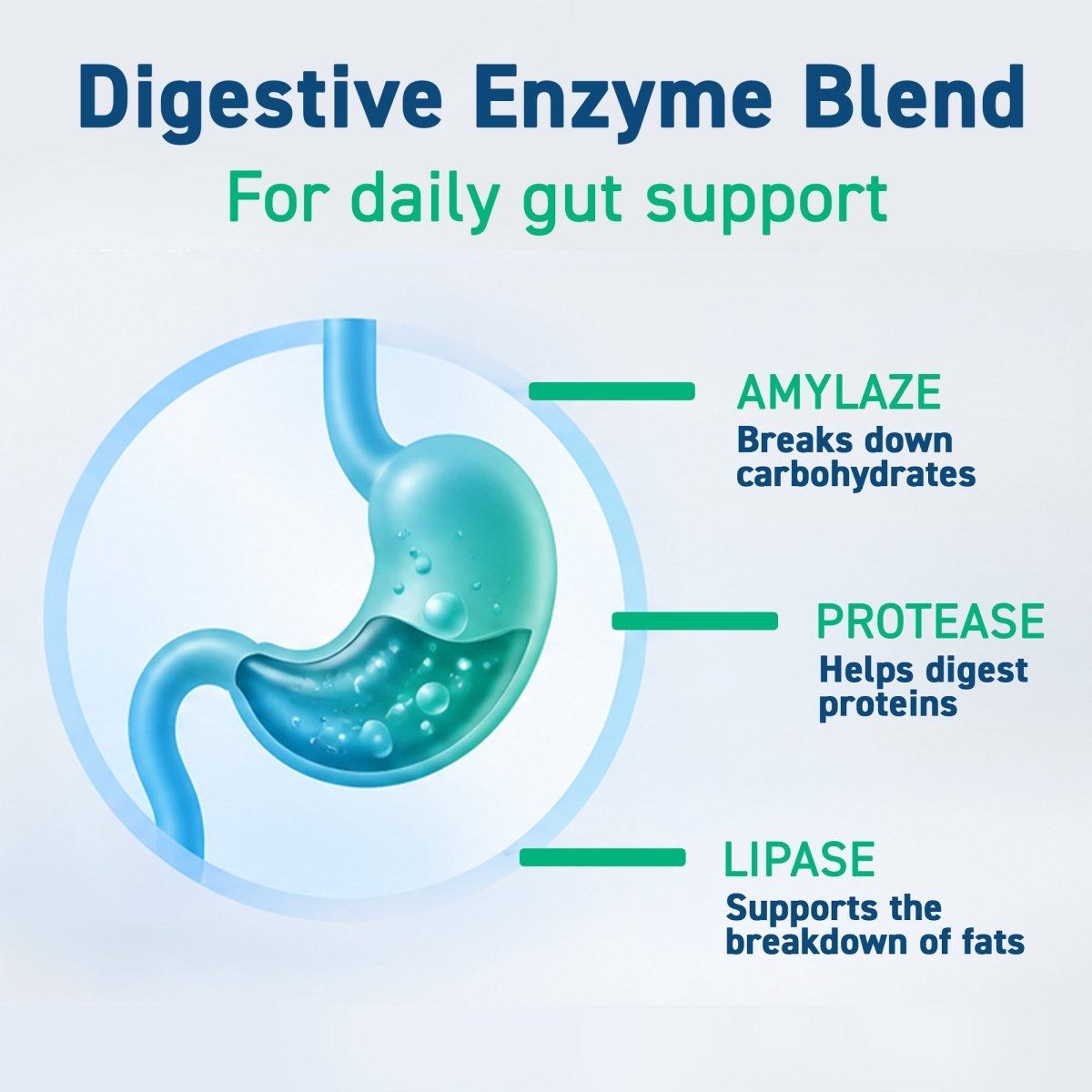 Digest Capsules - GLP-1 Friendly