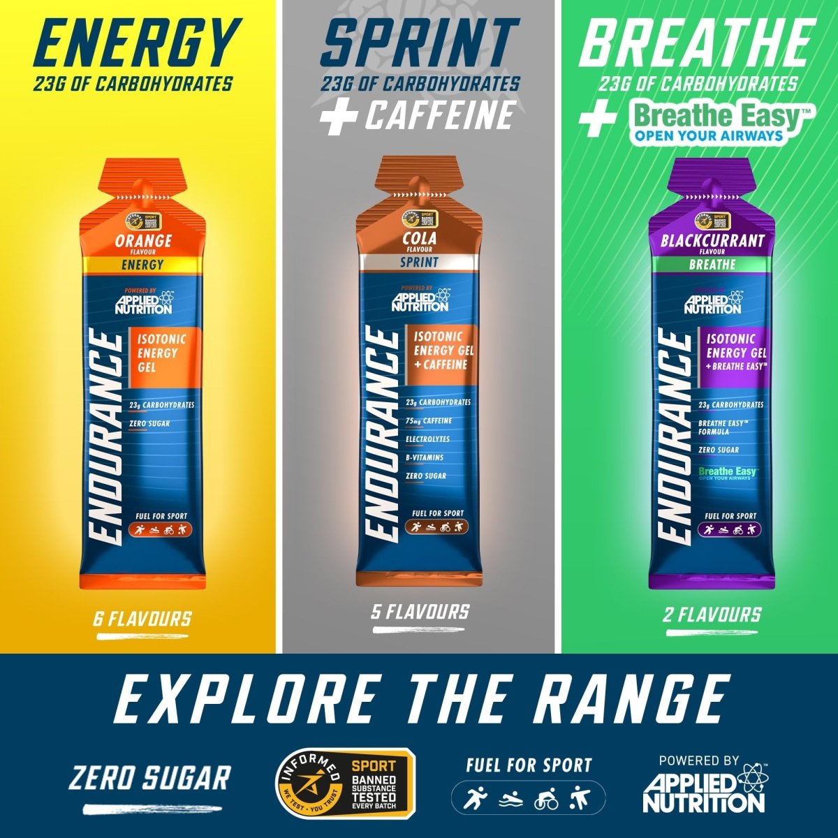 6 Pack Endurance Isotonic Energy Gels